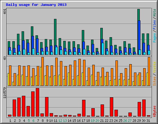 Daily usage for January 2013