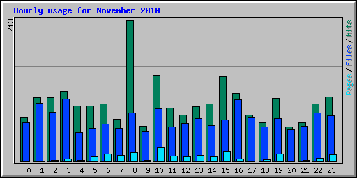 Hourly usage for November 2010