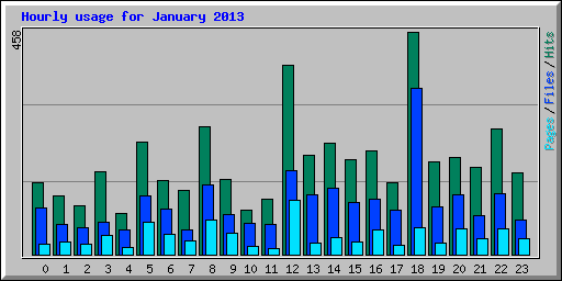 Hourly usage for January 2013